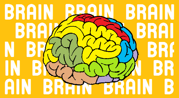 brain and think