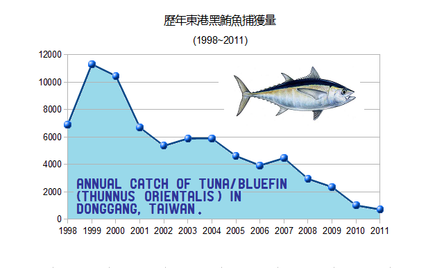 黑鮪魚故事 捕獲量與生態