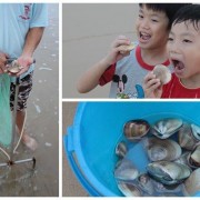 kinmen-shell-clam-beach
